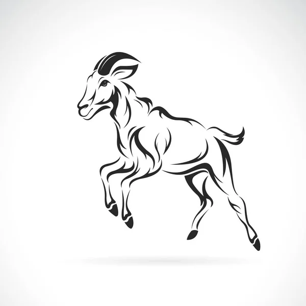 Vecteur Dessin Chèvre Sur Fond Blanc Animaux Sauvages Illustration Vectorielle — Image vectorielle