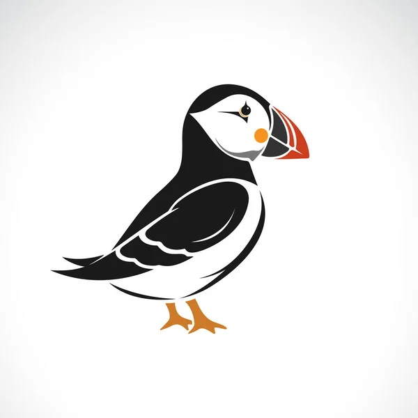 Vecteur Motif Oiseau Macareux Sur Fond Blanc Animaux Sauvages Illustration — Image vectorielle