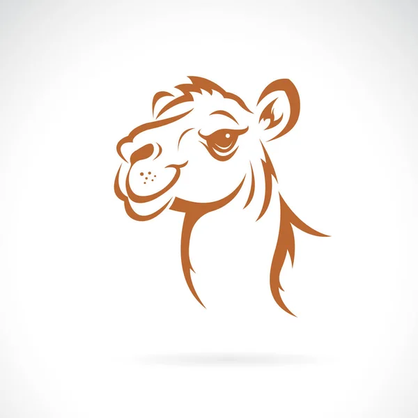 Vector Diseño Cabeza Camello Sobre Fondo Blanco Animales Vida Silvestre — Vector de stock