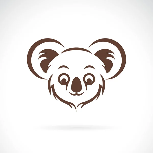 Vetor Desenho Cara Coala Fundo Branco Animais Vida Selvagem Ilustração —  Vetores de Stock