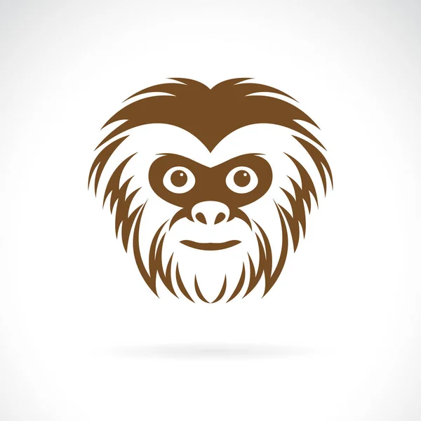 Wektor Gibbon Face Design Białym Tle Zwierzęta Dzikiej Przyrody Łatwa — Wektor stockowy