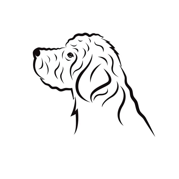 Vector Diseño Perro Goldendoodle Sobre Fondo Blanco Animales Mascota Fácil — Vector de stock