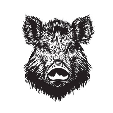 A detailed, black and white illustration of a wild boar head, showcasing its powerful features and intricate details. Wildlife Animals. clipart