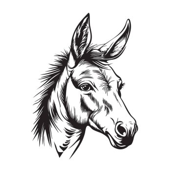 Detailed donkey head vector. Expressive eyes, long ears, strong features. Ideal for farm, rural, or animal-themed designs. clipart