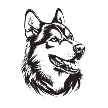 Sibirya Husky kafa vektörü. Detaylı kürk, dostça ifade. Hayvan tasarımları, logolar ve giyim için mükemmel. Evcil hayvan. Hayvanlar.