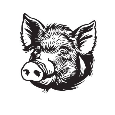 Karmaşık siyah-beyaz domuz kafası çizimi cesur, şablon tarzında. Lazer kesim şablonlar, el sanatları, logolar ya da dövme tasarımları için mükemmel. Çiftlik hayvanları.