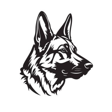 Asil Alman çoban köpeği baş vektörü. Güçlü bir profil, tetikte olma. Güvenlik, polis ya da köpek üretimi için ideal. Evcil hayvan. Hayvanlar.