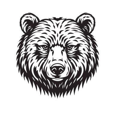 Güçlü ayı başlı vektör illüstrasyonu. Ayrıntılı kürk, yoğun bakışlar, açık ağız. Vahşi yaşam, doğa veya güç temalı tasarımlar için idealdir. Vahşi Yaşam Hayvanları.