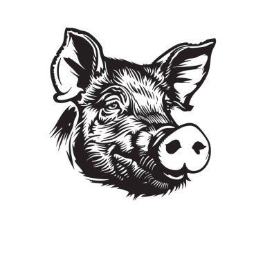 Karmaşık siyah-beyaz domuz kafası çizimi cesur, şablon tarzında. Lazer kesim şablonlar, el sanatları, logolar ya da dövme tasarımları için mükemmel. Çiftlik hayvanları.