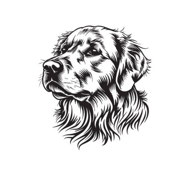 Golden retriever köpek kafasının vektör çizimi, karmaşık detaylar ve neşeli bir ifade, dövme tasarımları için mükemmel. Evcil hayvan. Hayvanlar.