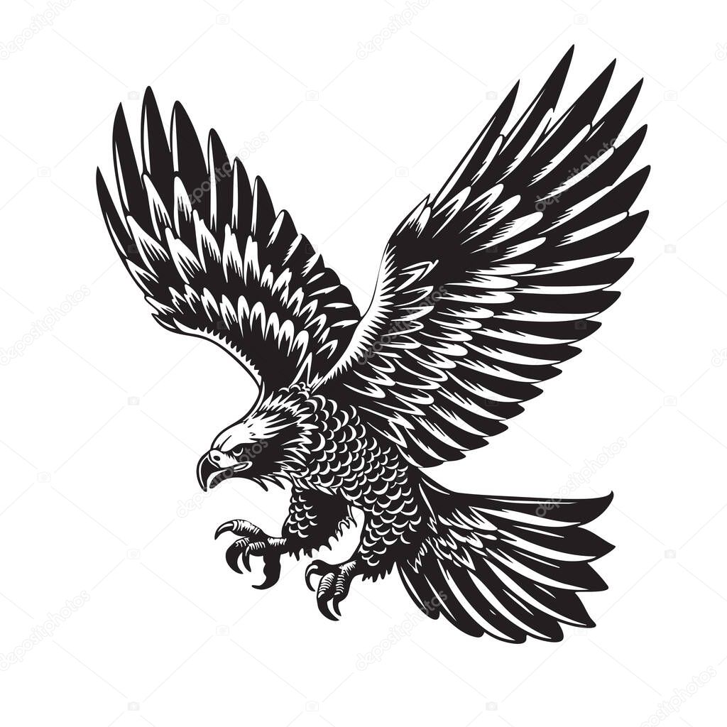 Vector of majestic eagle in flight, rendered in a classic black and white style, exudes power and freedom. Perfect for branding, logos, and nature-themed designs. Bird. Wildlife Animals.