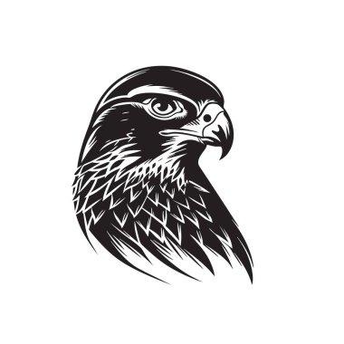 Görkemli şahin kafasının vektörü, klasik siyah-beyaz stili yaratılmış, güç ve zarafet yayıyor. Markalaşma, logo ve doğa temalı tasarımlar için mükemmel. Kuş. Vahşi Yaşam Hayvanları.