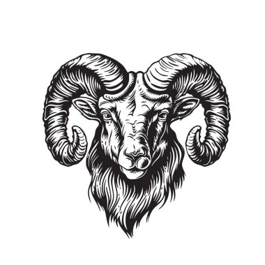 Büyük boynuzlu koç başlı vektör, etkileyici boynuzları var, klasik siyah-beyaz ahşap kesim tarzında yapılmış. Markalaşma, logo ve doğa temalı tasarımlar için mükemmel. Vahşi Yaşam Hayvanları.