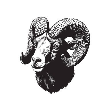 Büyük boynuzlu koç başlı vektör, etkileyici boynuzları var, klasik siyah-beyaz ahşap kesim tarzında yapılmış. Markalaşma, logo ve doğa temalı tasarımlar için mükemmel. Vahşi Yaşam Hayvanları