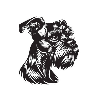 Şık bir Schnauzer kafa vektörü. Ayırt edici sakal, anlamlı gözler. Evcil hayvan, cins ya da köpek temalı tasarımlar için mükemmel. Evcil hayvan. Hayvan..