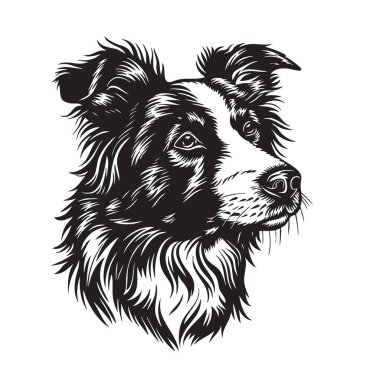 Illustration vector of border collie dog head in dramatic black and white woodcut style on a white background. Easy editable layere. Pet. Animals. clipart