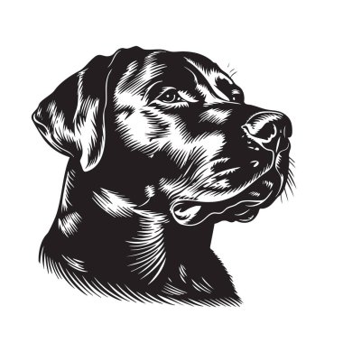 Illustration vector of labrador retriever dog head on a white background. Easy editable layere. Pet. Animals. clipart