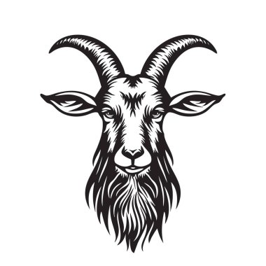 Ayrıntılı keçi kafası vektör illüstrasyonu. Belirgin boynuzlar, anlamlı gözler. Çiftlik, doğa ya da zodyakla ilgili tasarımlar için ideal.