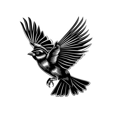 Detailed monochrome vector of a sparrow in flight, wings spread, delicate lines, freedom and nature themes, ideal for prints or logos, Easy editable layere. clipart