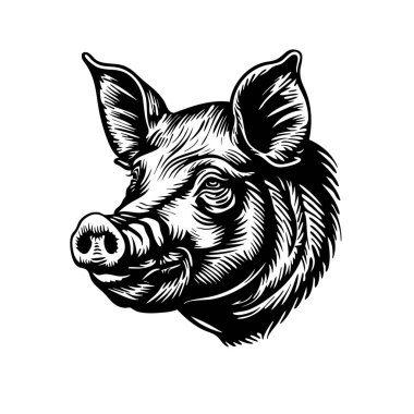 Domuz kafasının ayrıntılı monokrom vektörü, güçlü çizgiler, çiftlik hayvanı, çiftlik hayvanı, çiftlik hayvanları, kasaplar, tarım, gıda endüstrisi, baskılar için ideal. Çiftlik hayvanları.
