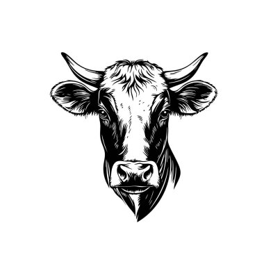 İnek kafasının ayrıntılı monokrom vektörü, nazik ifade, çiftlik hayvanı, süt ürünü, tarım, logolar, baskılar, gıda endüstrisi için ideal. Kolay düzenlenebilir katman, çiftlik hayvanları..
