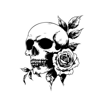 Hassas bir gül, ayrıntılı vektör illüstrasyonu, kontrastı, yaşam ve ölüm teması, baskılar veya dövme tasarımı için ideal, kolay düzenlenebilir katman.