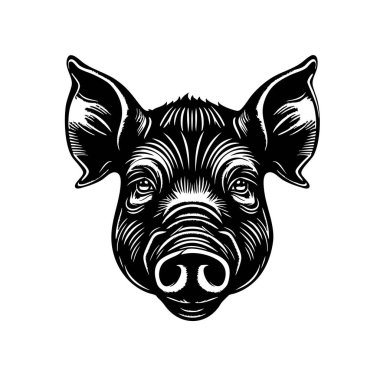 Domuz kafasının ayrıntılı monokrom vektörü, güçlü çizgiler, çiftlik hayvanı, çiftlik hayvanı, çiftlik hayvanları, kasaplar, tarım, gıda endüstrisi, baskılar için ideal. Çiftlik hayvanları.
