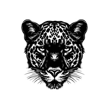 Leopar kafasının vektörü, siyah-beyaz vektör çizimi. Yoğun bakışlar, karmaşık noktalar, güçlü tasarım. Logolar, dövmeler, parmak izleri için ideal. Vahşi, zarif, büyüleyici. Vahşi Yaşam Hayvanları.