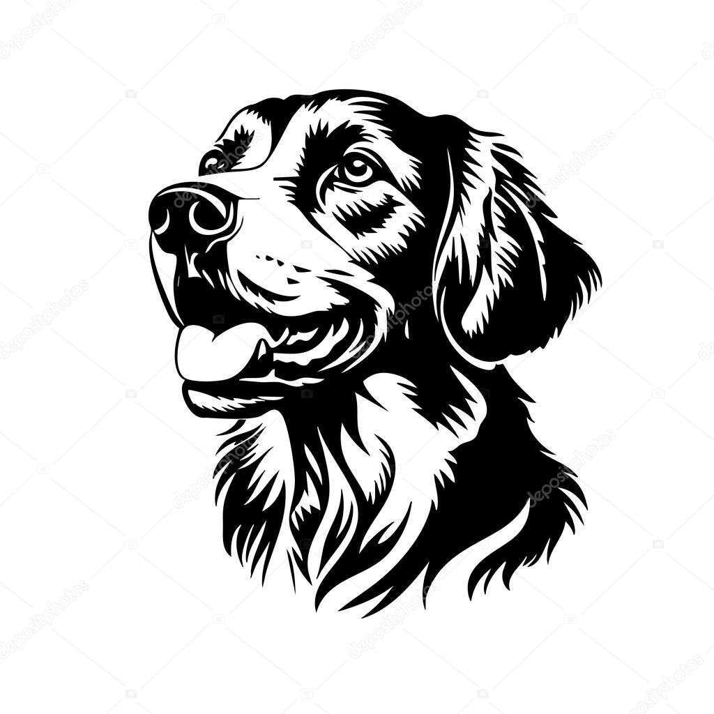 Friendly golden retriever dog head vector. gentle expression, Ideal for pet products, Perfect for pet-related designs, logos, and apparel. Pet. Animals.