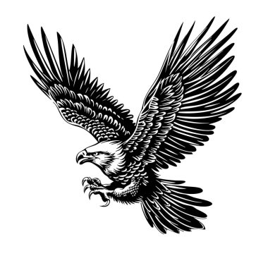 Uçan görkemli kartalın vektörü, klasik siyah-beyaz stili yaratılmış, güç ve özgürlük yayıyor. Markalaşma, logo ve doğa temalı tasarımlar için mükemmel. Kuş. Vahşi Yaşam Hayvanları.