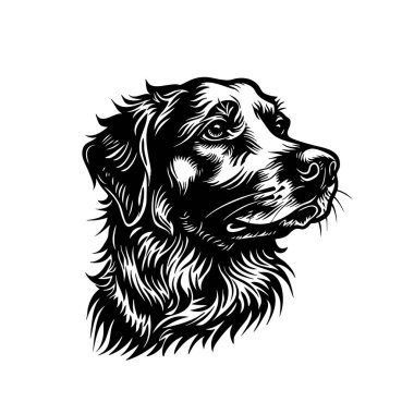 Golden retriever köpek kafasının vektör çizimi, karmaşık detaylar ve neşeli bir ifade, dövme tasarımları için mükemmel. Evcil hayvan. Hayvanlar.