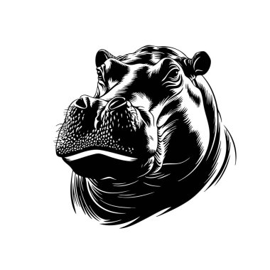 Kükreyen bir su aygırının taşıyıcısı, güçlü dişler ve dövme stili bir tasarımda vahşi bir ifade sergiliyor..