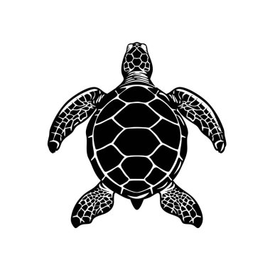 Beyaz arka planda deniz kaplumbağası silueti, kolay düzenlenebilir katman, sualtı hayvanları..