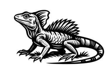 Bir Basilisk kertenkelesinin detaylı siyah-beyaz vektörü, aynı zamanda İsa kertenkelesi olarak da bilinir, kendine özgü arması ve pulları vardır. Sürüngen sanatı ve tasarımları için mükemmel..