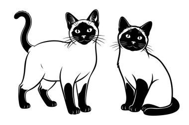 İki çikolatalı Siyam kedisinin siyah ve beyaz vektör çizimi, biri ayakta ve biri oturuyor. Parmak izi, logo ve dekor için mükemmel bir tasarım. Hayvan, Hayvan..
