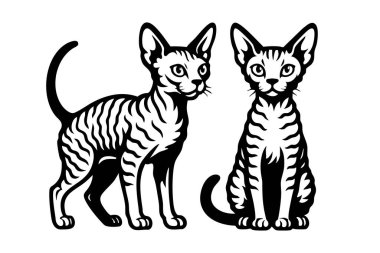 İki Devon Rex Kedisi 'nin siyah-beyaz çizimi. Evcil hayvan mağazası tasarımları, veteriner logoları ve kedi sevici sanatı için mükemmel..