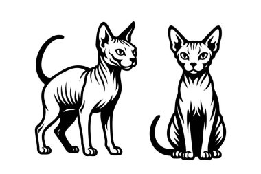 İki Donskoy tüysüz kedisinin duruş ve oturuş pozisyonlarının siyah ve beyaz çizimi. Minimalist stil, dövmeler, parmak izleri ve logolar için mükemmel. Hayvan..