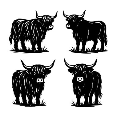 İskoç ineklerinin değişik pozlardaki dört siyah siluet çizimi. Kalın saçlı boynuzlu sığırlar, logolar, baskılar ya da çiftlik dekorları için mükemmel..