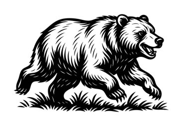 Çimenlerde koşan bir boz ayının siyah ve beyaz vektörü. Klasik ahşap kesim tarzında kalın oyma hatları. Logolar, parmak izleri ve maskotlar için mükemmel. Vahşi Yaşam Hayvanları.