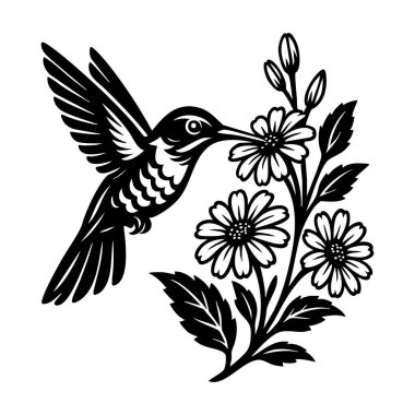 Papatya benzeri çiçeklerden nektar yudumlayan bir sinekkuşunun zarif siyah beyaz vektörü. Dövmeler, doğa baskıları ve dekoratif çizimler için mükemmel. Kuş.