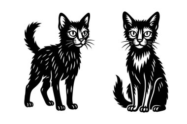 Siyah ve beyaz iki Lykoi kedisinin tüylü kürkleriyle durup poz verişi. Hayvan tasarımları, dövmeler ve kedi resimleri için ideal. Hayvan..