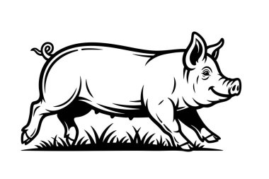 Otların üzerinde koşan neşeli bir domuzun siyah beyaz vektörü, cesur çizgiler ve neşeli bir ifadeyle. Çiftlik logoları, parmak izleri ve çocuk sanatı için mükemmel. Hayvan..