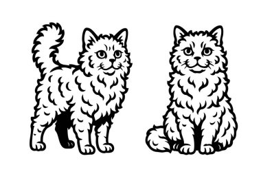 İki Selkirk Rex kedisinin siyah ve beyaz vektörü, biri oturuyor ve diğeri ayakta, kıvırcık kürk ve sakin ifadeler sergiliyor. Evcil hayvan ve sanat eseri yetiştirmek için mükemmel. Hayvan..