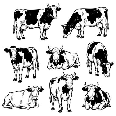 Çoklu poz veren koyunlar ayakta, otluyor, zıplıyor. Çiftlik hayvanları için harika..