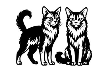 İki zarif Somali kedisinin siyah-beyaz çizimi, biri ayakta ve biri oturuyor. Evcil hayvan.