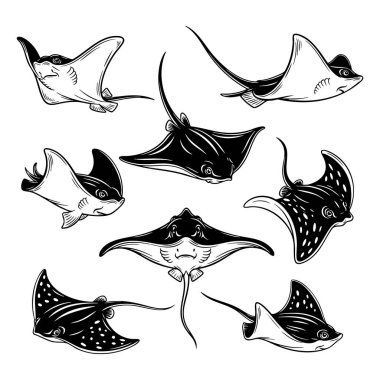 Siyah ve beyaz vektör tarzında vatoz ve manta vatozlarının toplanması. Çeşitli yüzme pozları, okyanus temalı sanat eserleri, dövmeler ve logolar için mükemmel. Balık, Hayvanlar.