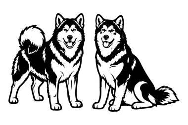 Mutlu Alaska Malamute köpekleri beyaz arka planda detaylı bir siyah-beyaz vektör çizimi içinde ayakta ve birlikte oturuyorlar. Evcil hayvan