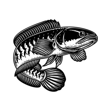 Amazon yılan başı balığının detaylı vektörü, koyu siyah beyaz gravür stili, beyaz arka planda izole edilmiş, balıkçılık ya da vahşi yaşam temaları için mükemmel..