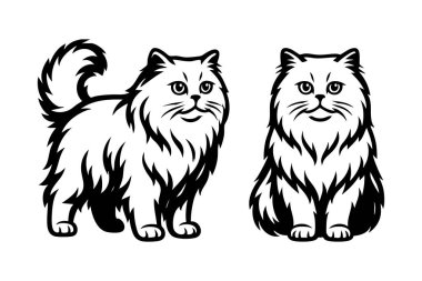 İki uzun saçlı İngiliz kedisinin vektör çizimi, biri ayakta diğeri oturuyordu, Evcil Hayvan.