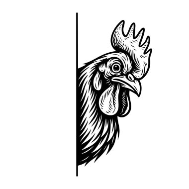 Siyah-beyaz çizim tarzında cesur vuruşlarla köşeden bakan meraklı horoz. Çiftlik hayvanları.